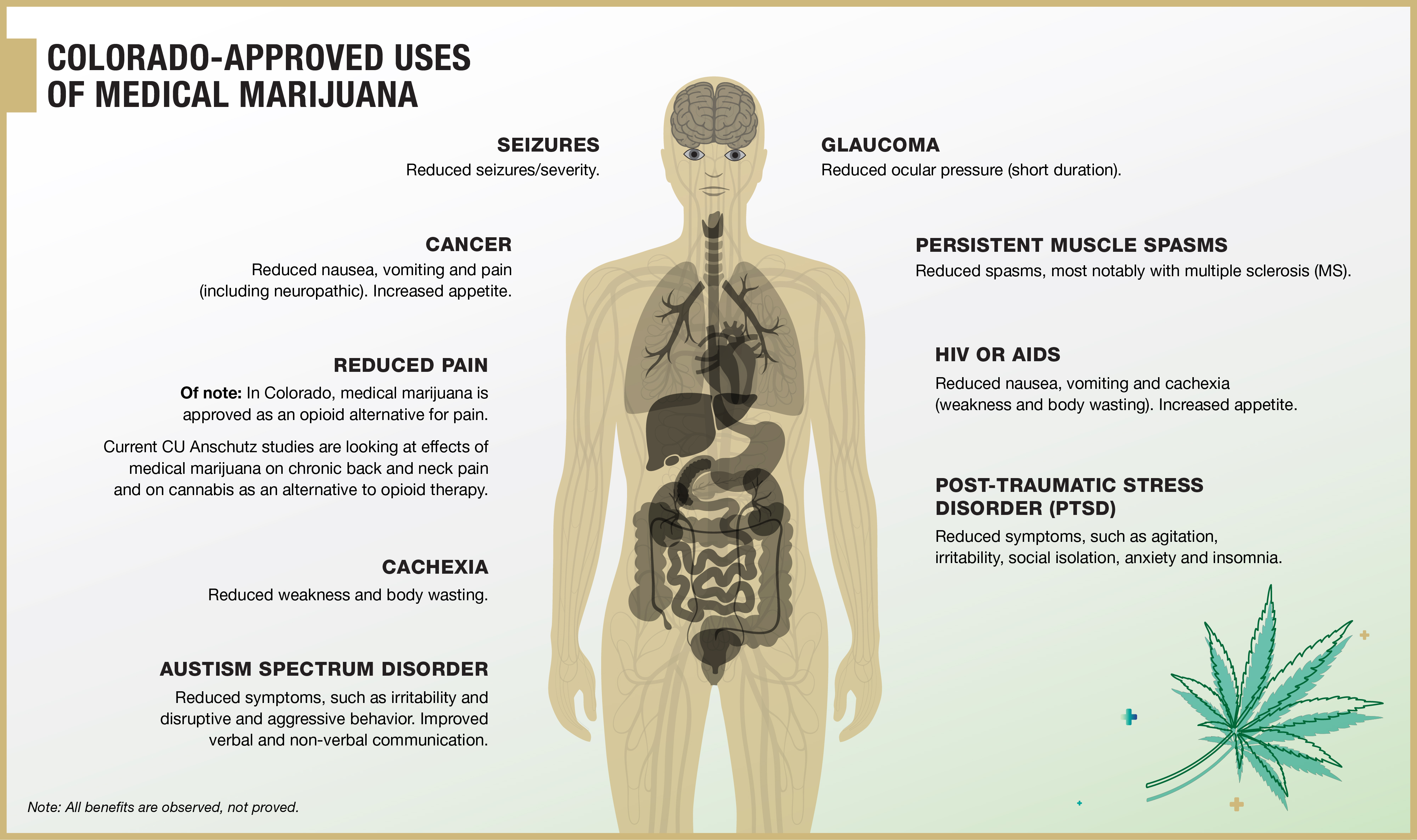 What's Slowing Medical Cannabis Clinical Research?