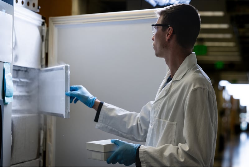 A researcher retrieves frozen cardiac tissue samples from a large freezer.