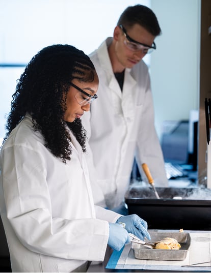 Two researchers wearing white lab coats, blue gloves, and protective eyewear work in a lab. One of the researchers, a woman, is dissecting a frozen cardiac tissue in a metal tray.