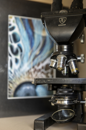 A close-up visual of a microscope in a lab.