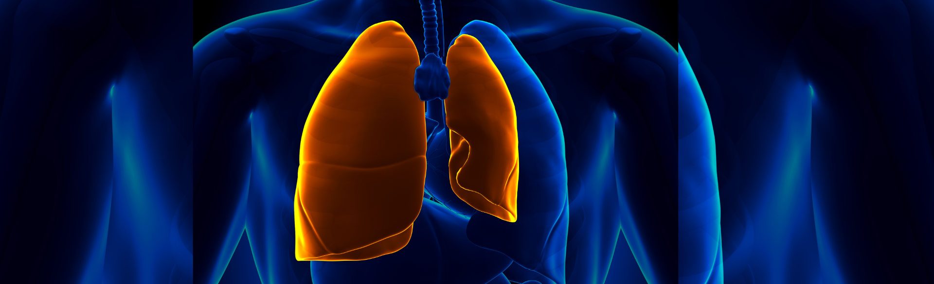 Lung transplant study