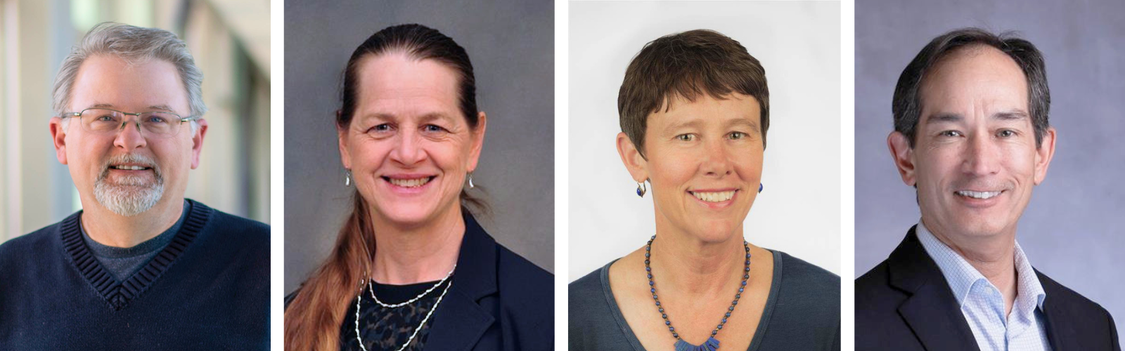 Distinguished Faculty Professionalism Awards V2