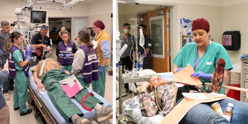 Drill ED Melissa 800 x 400