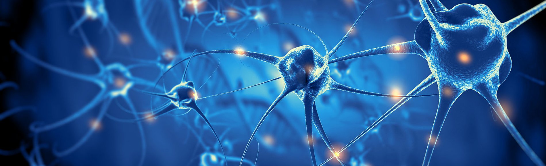 Nerve cells floating in blue background
