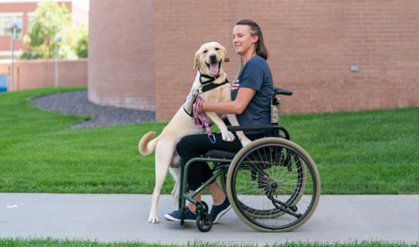 Service animal training program helps heal veterans