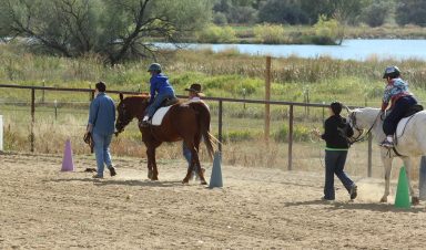 Therapeutic horseback riding