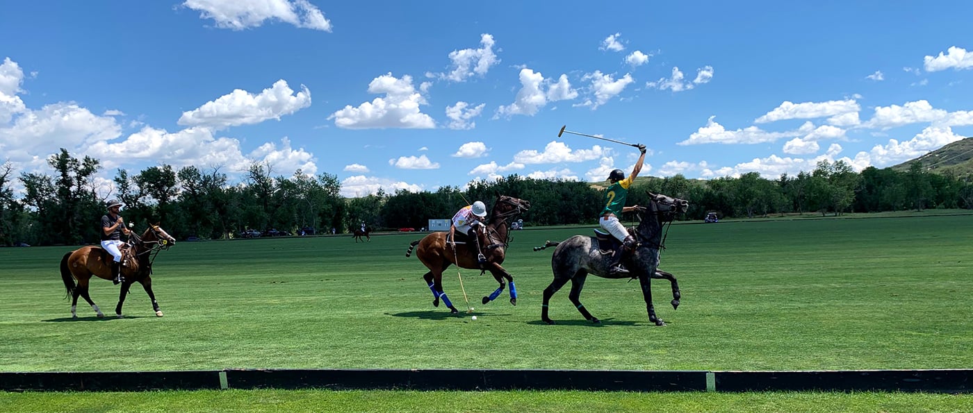 Polo match at Mallets for Melanoma