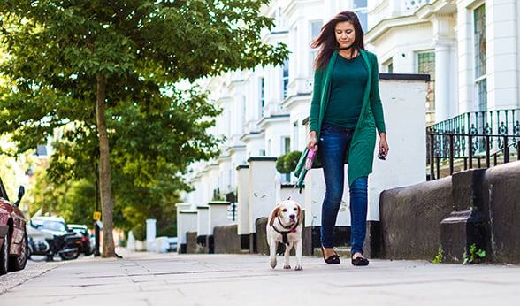 Woman walking a dog in the city