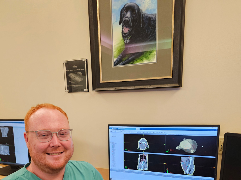 Seawalt doggie 800 x 600