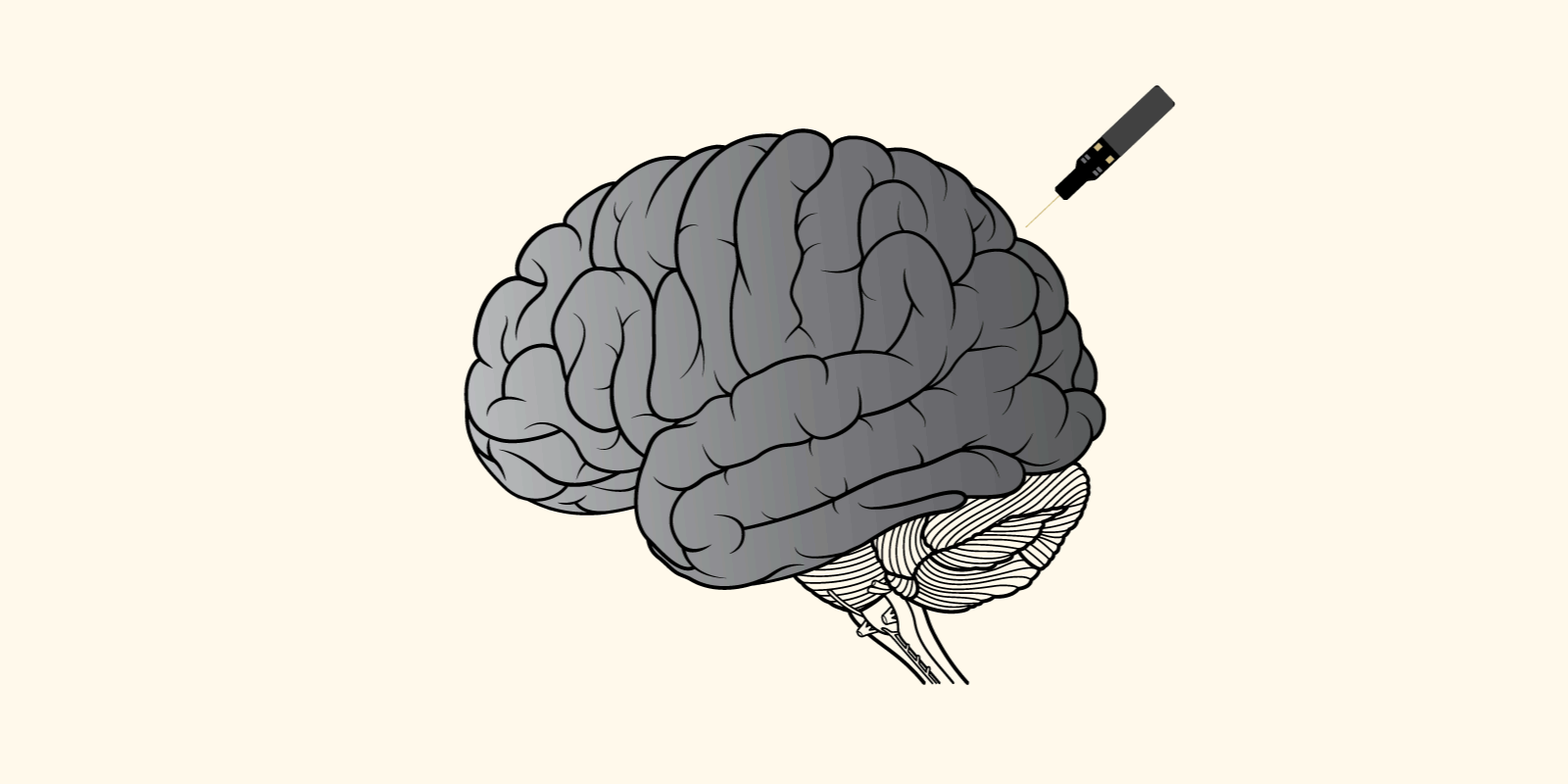 Animation of a Neuropixels implant that records information from hundreds of neurons simultaneously.