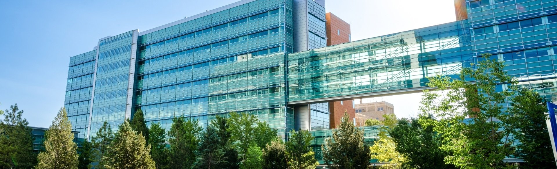 Research Bridge on the CU Anschutz Medical Campus on a sunny day. 