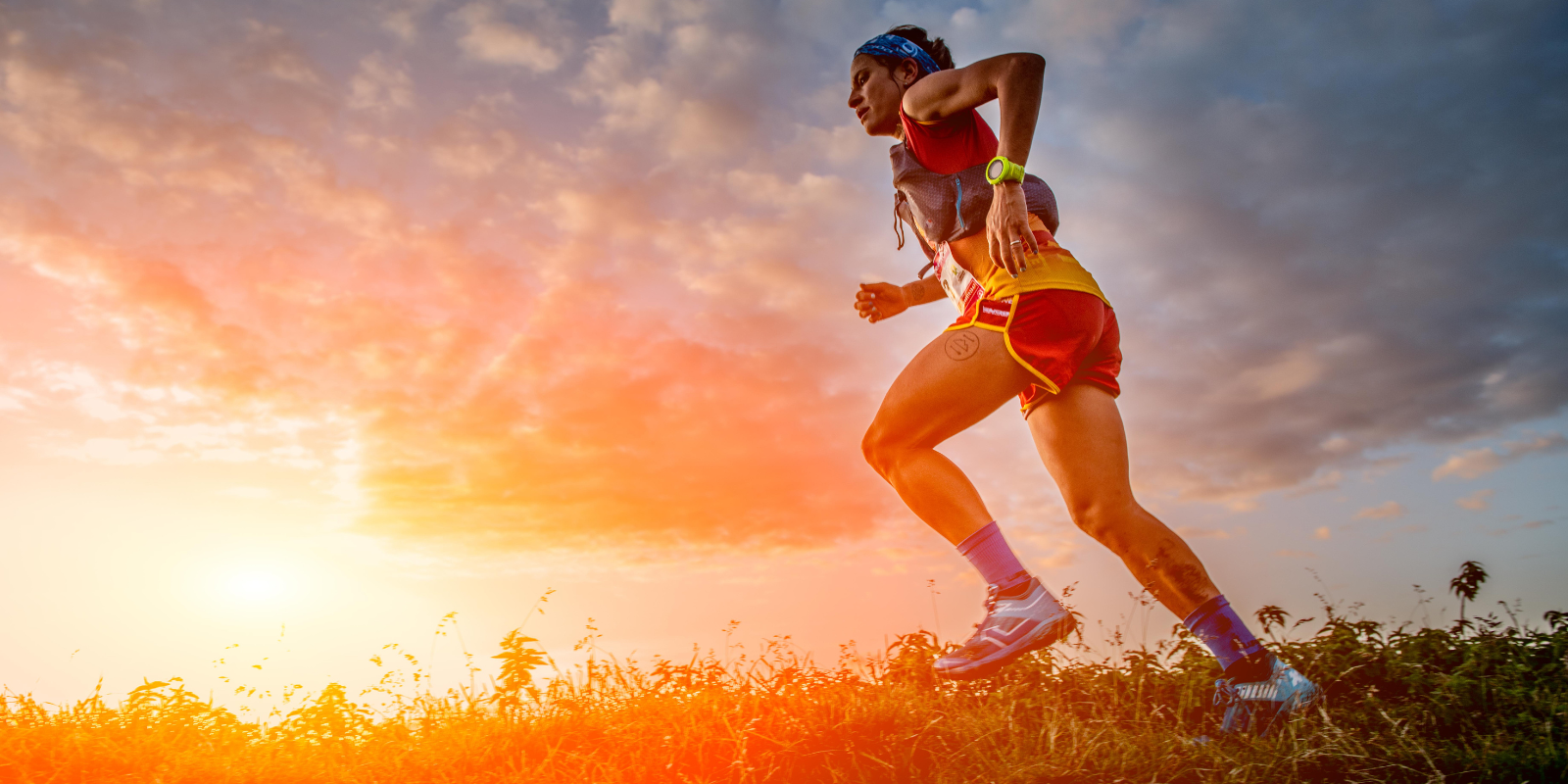 The Science of Suffering: Endurance Athletes Inform Personalized Care for Trauma and Cancer Patients