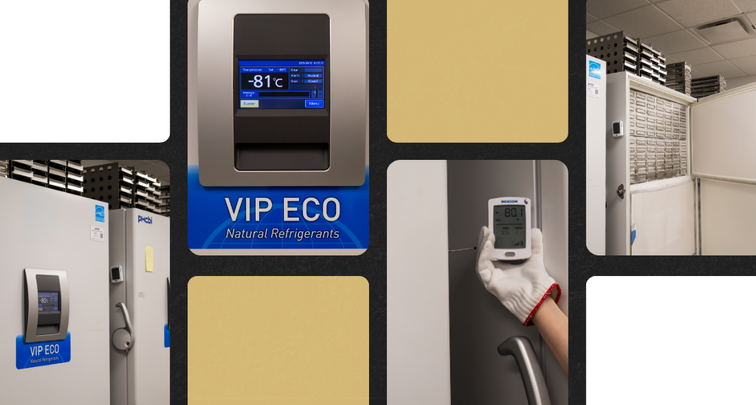 photos from the LEAD Center