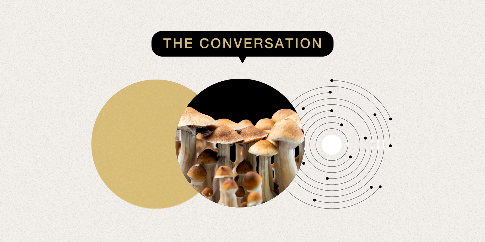 Photo of a cluster of mushrooms