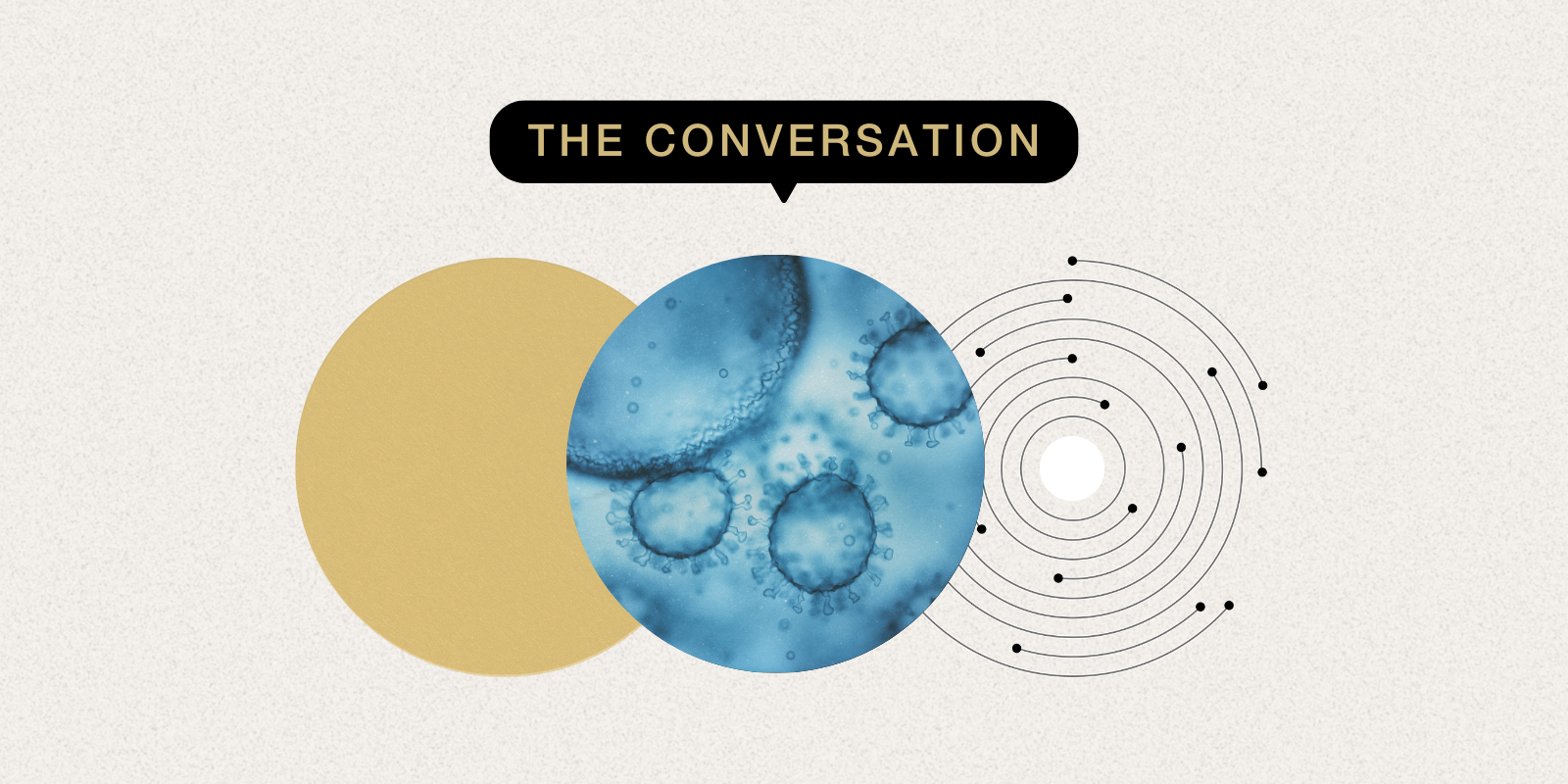 A closeup of immune cells in a stylized circle, the words 