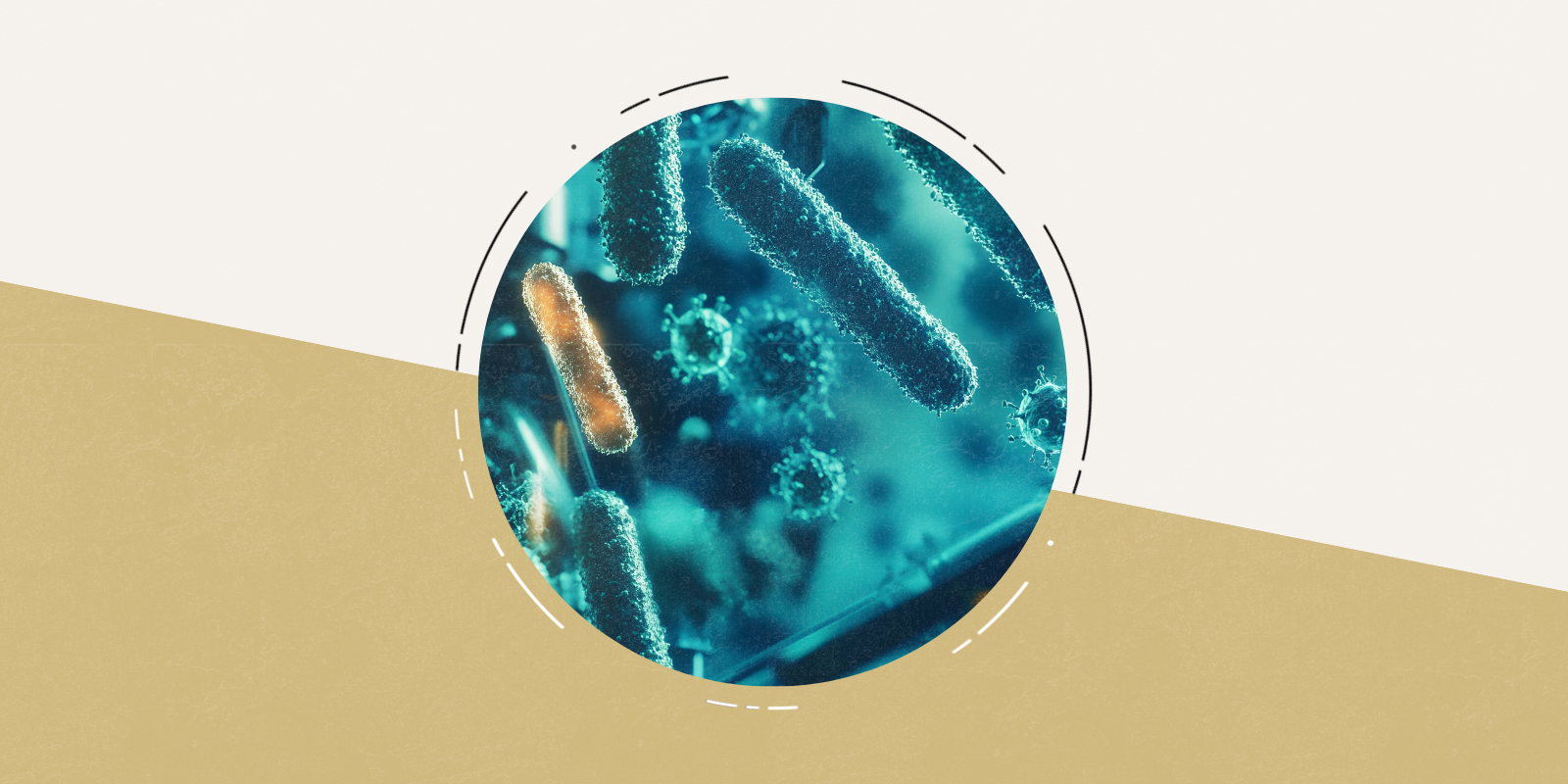 A microscopic view of waterborne pathogens