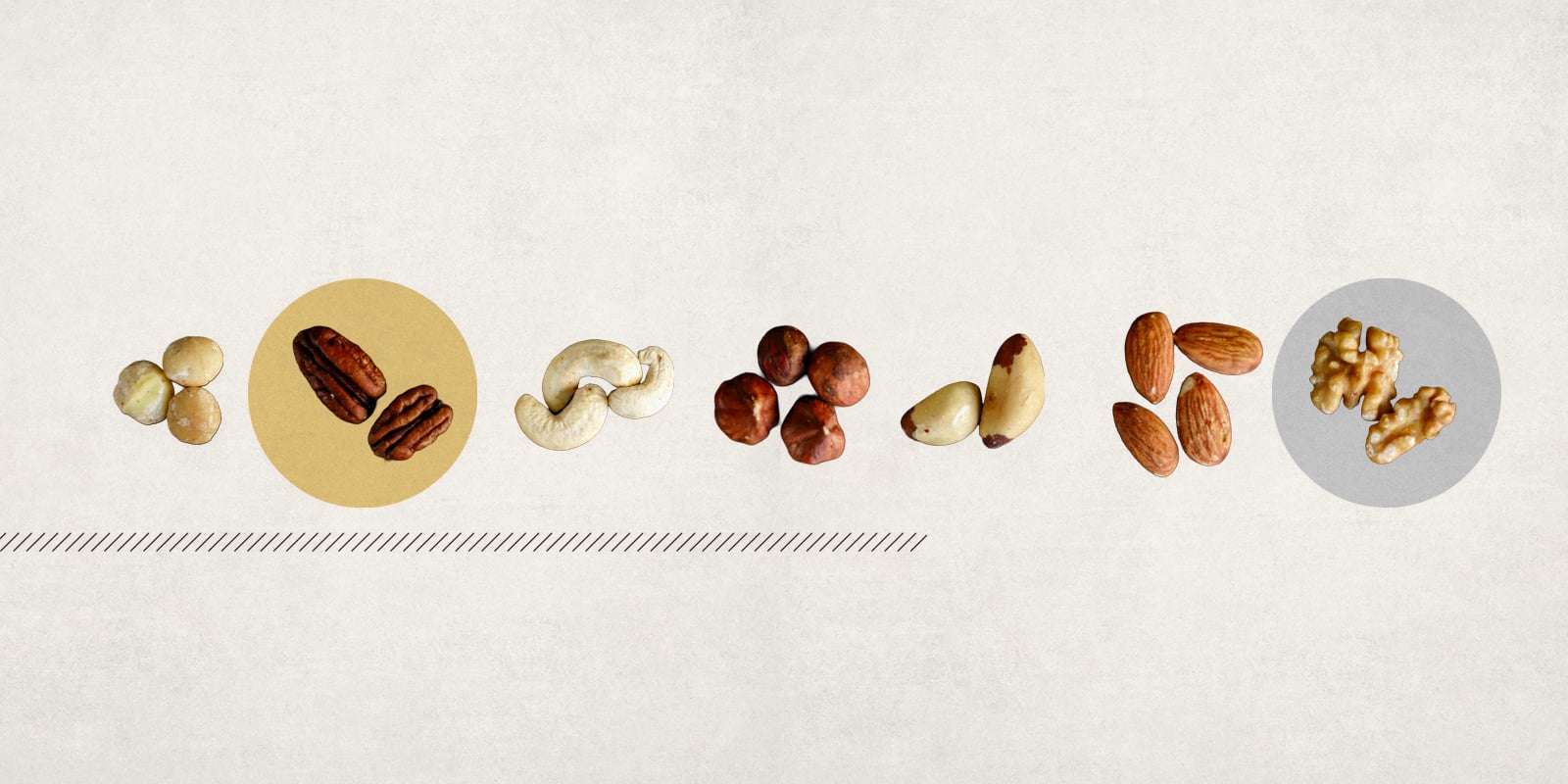 Stylized image of a variety of seeds and nuts.