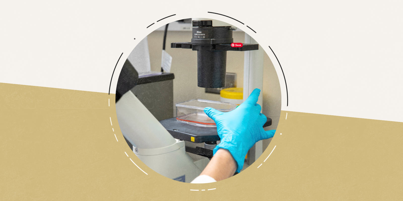 photo of hand with a medical glove on it putting samples under micrascrope 