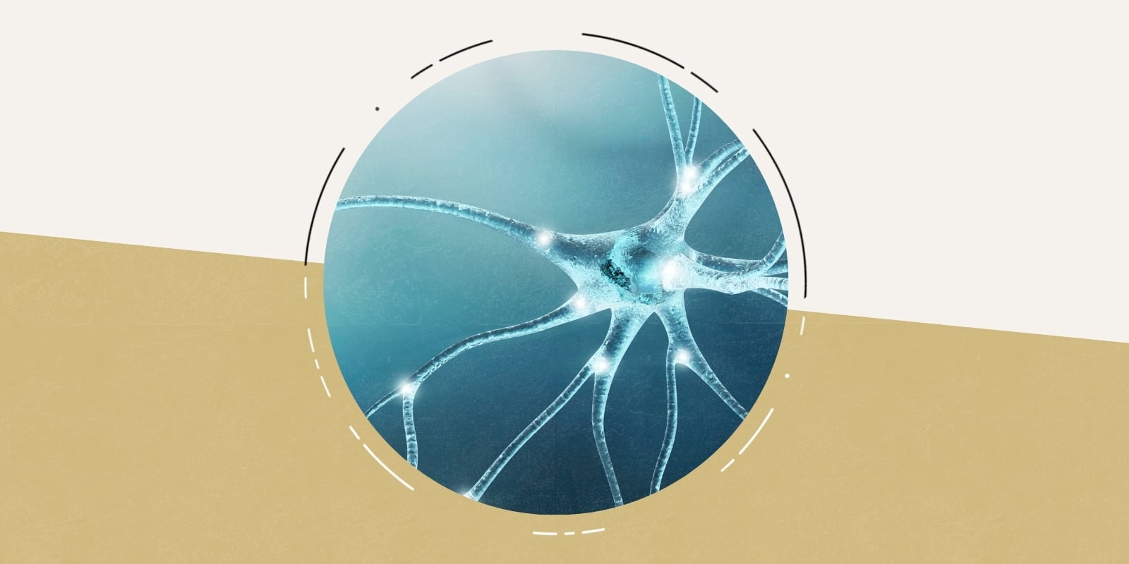 Illustration of a single brain cell
