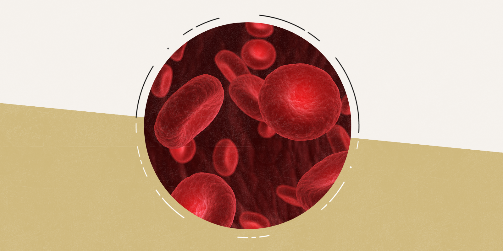 photo of red blood cells