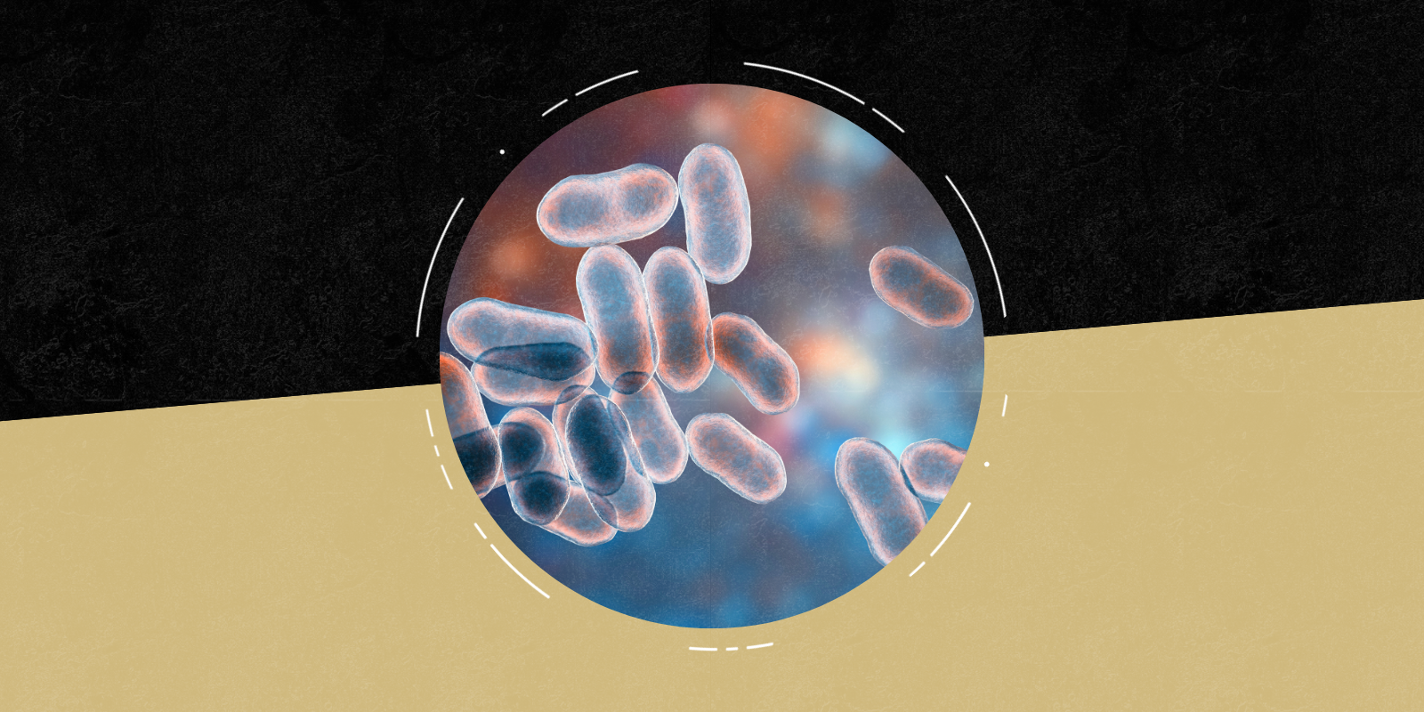 Common Airway Bacterium May Help Prepare Lungs to Fight Pneumonia