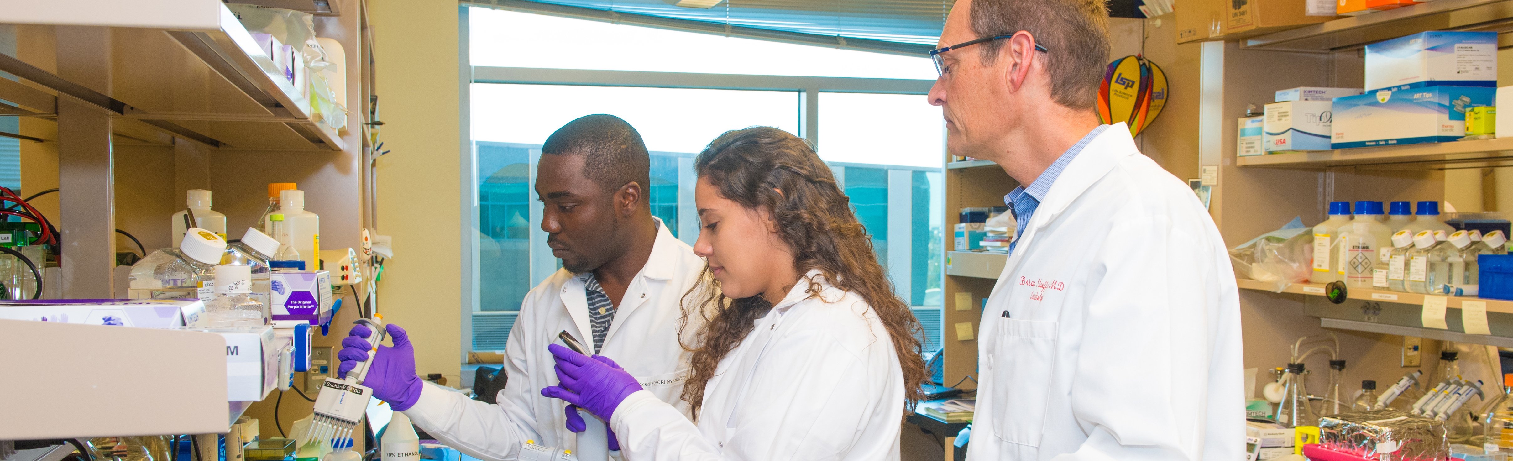 Researchers at work in their lab