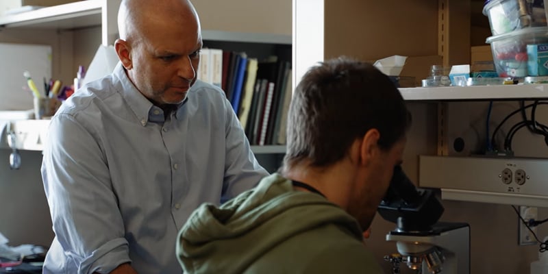 A First-of-its-kind Treatment for Brain-Based Hearing Loss