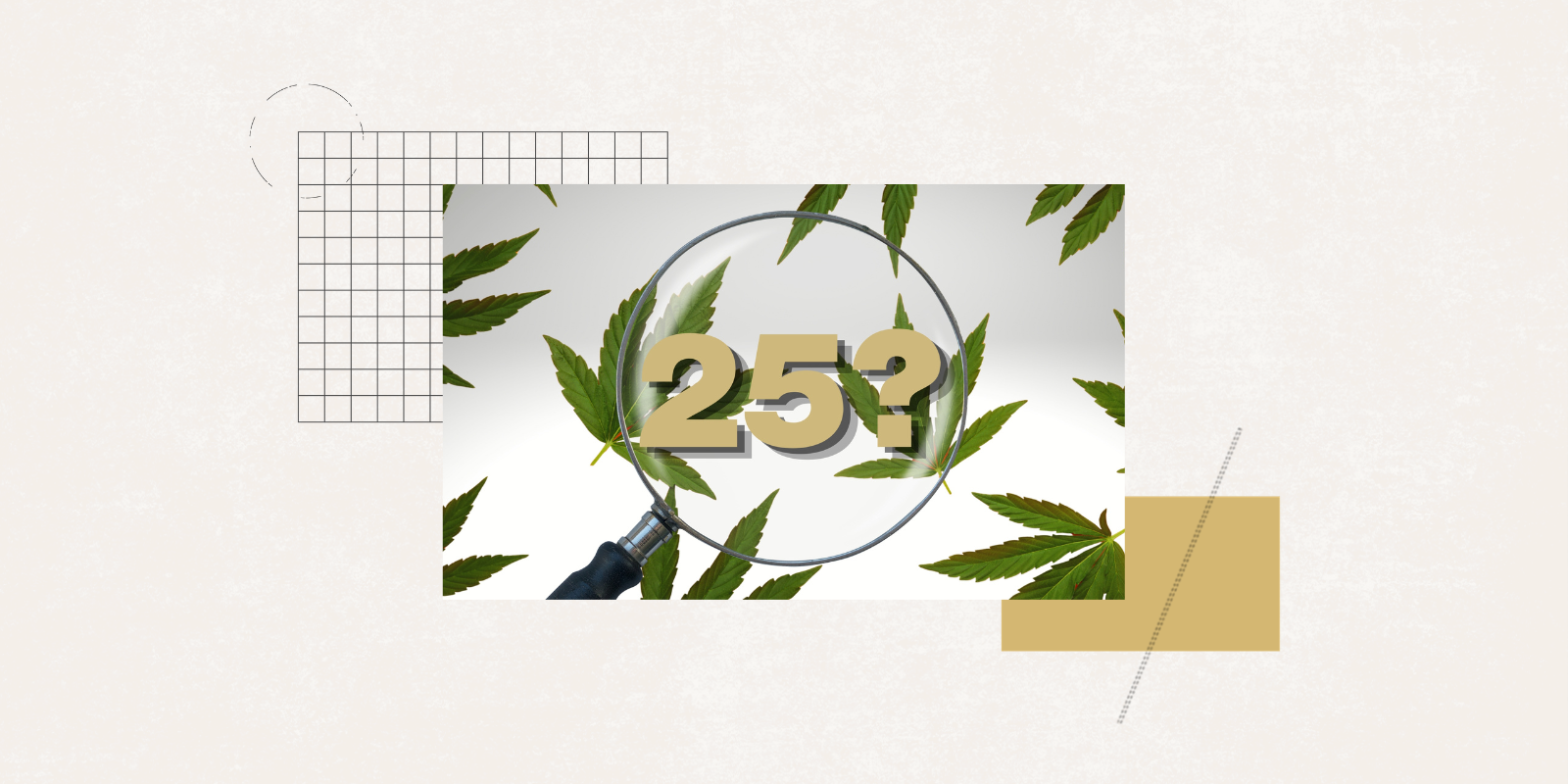 Illustration featuring cannabis plants and the number 25.