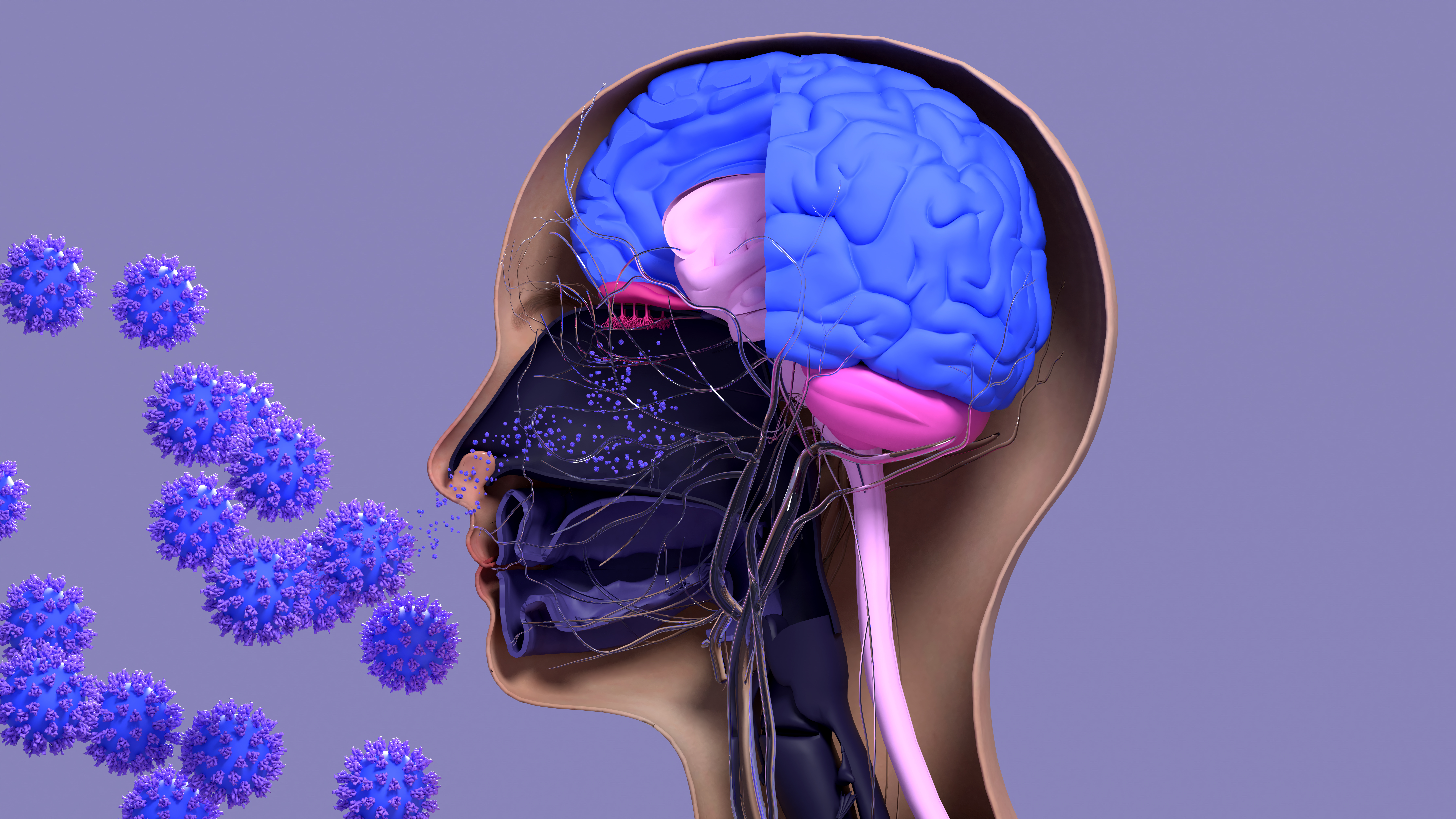 Gevoelige virale infectie geassocieerd met het versnelde begin van de ziekte van Alzheimer
