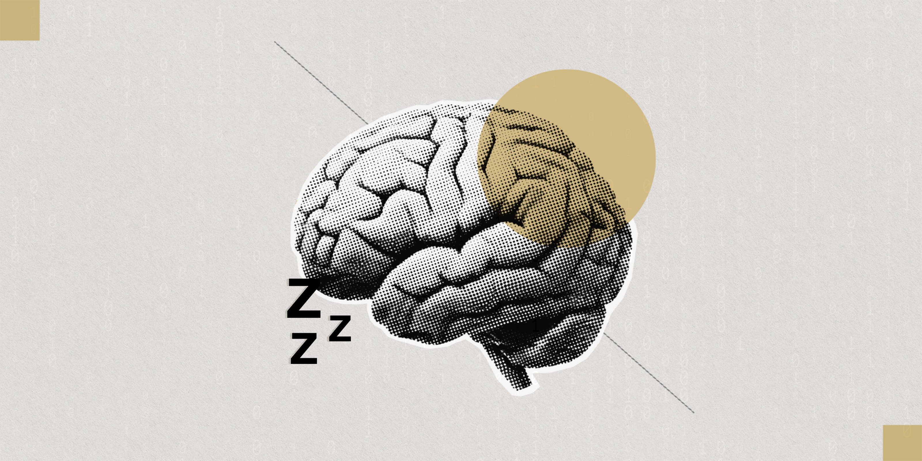 Graphic image of a brain with Z's representing sleep emanating from it.