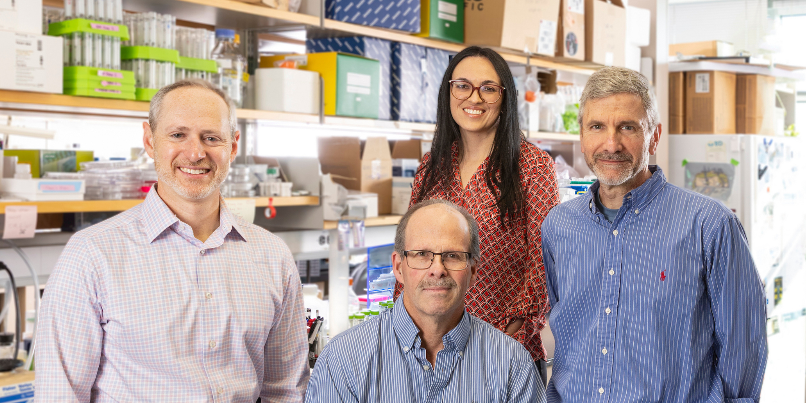 From left, Dan Pollyea, MD, MS; Craig Jordan, PhD; Maria Amaya, MD, PhD; and James DeGregori, PhD, in DeGregori's lab.