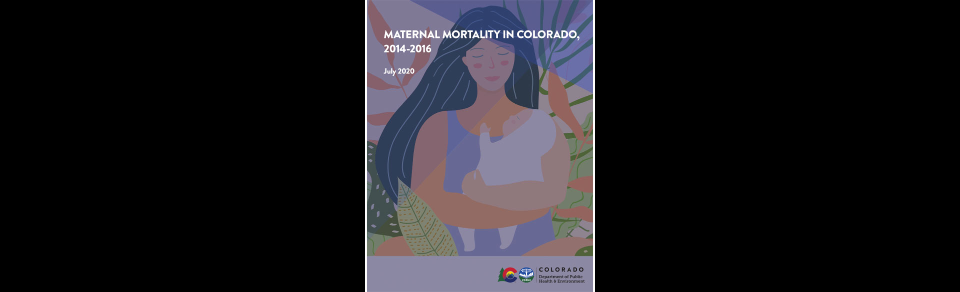 Suicide, Substance Use, and Homicide: Leading Causes of Maternal Death
