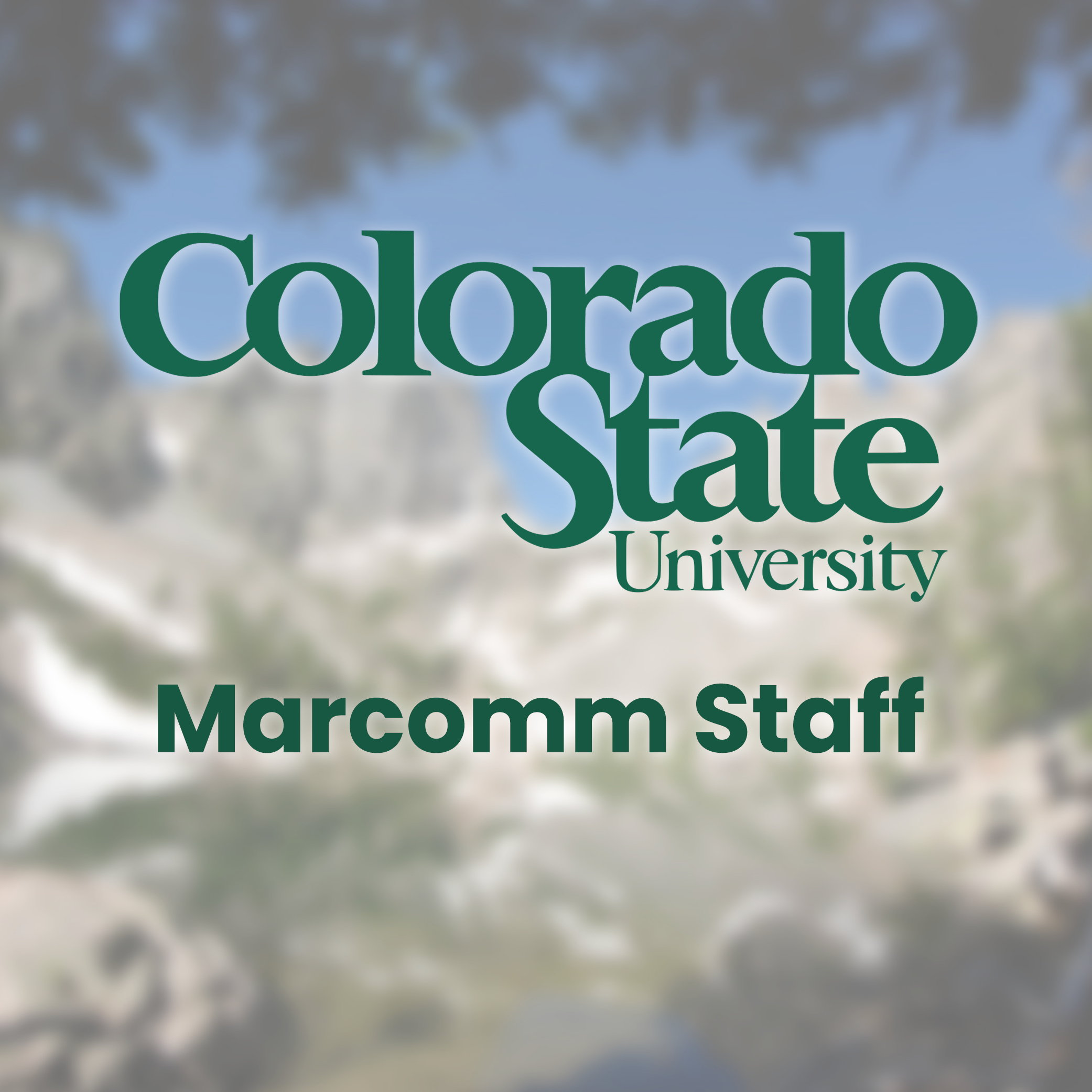 CSU MarComm Staff