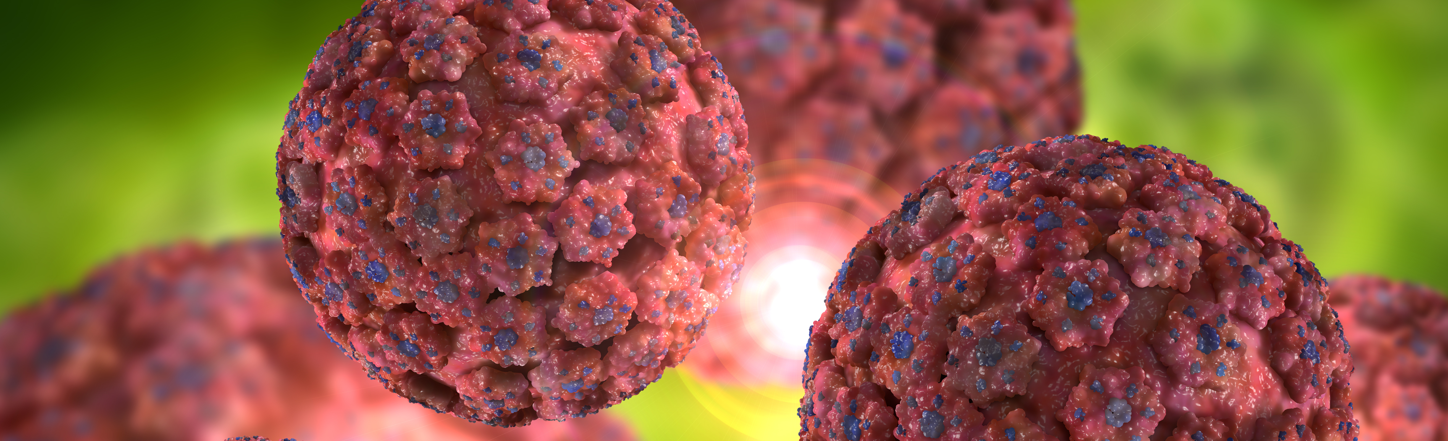 Illustration of HPV virus
