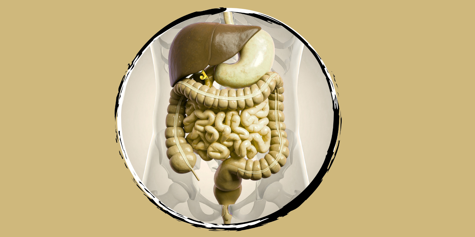 Rady Esophageal and Gastric Center of Excellence Works to Address Growing Rates of Stomach Cancer in Immigrant Populations