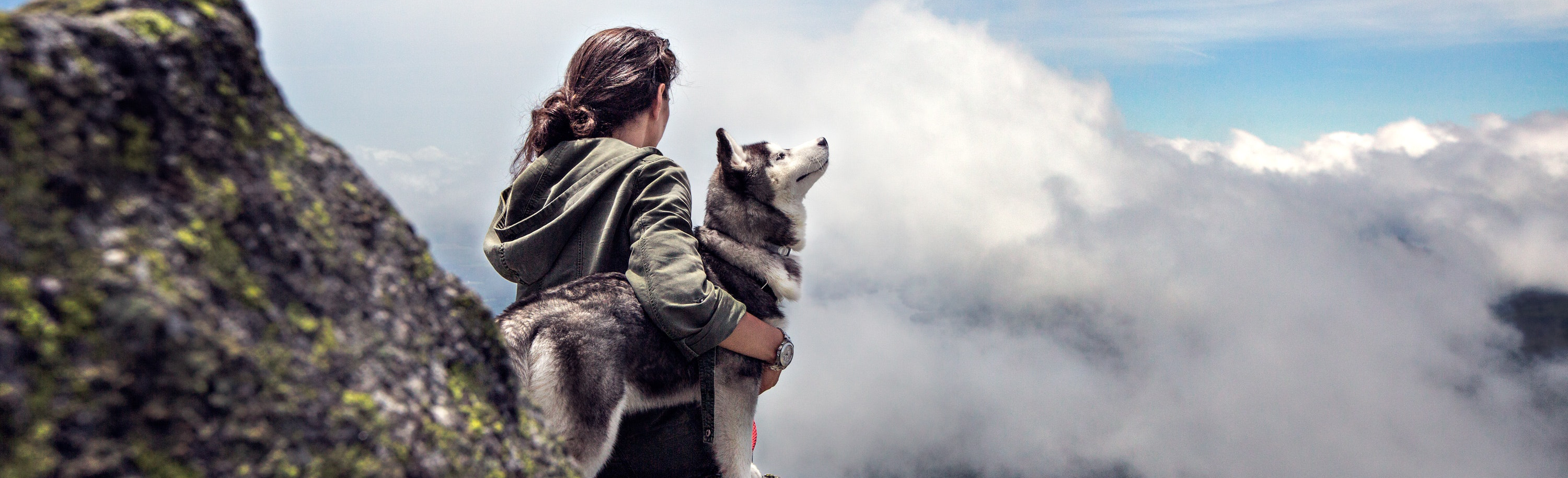 Human and dog looking over cloudy vista