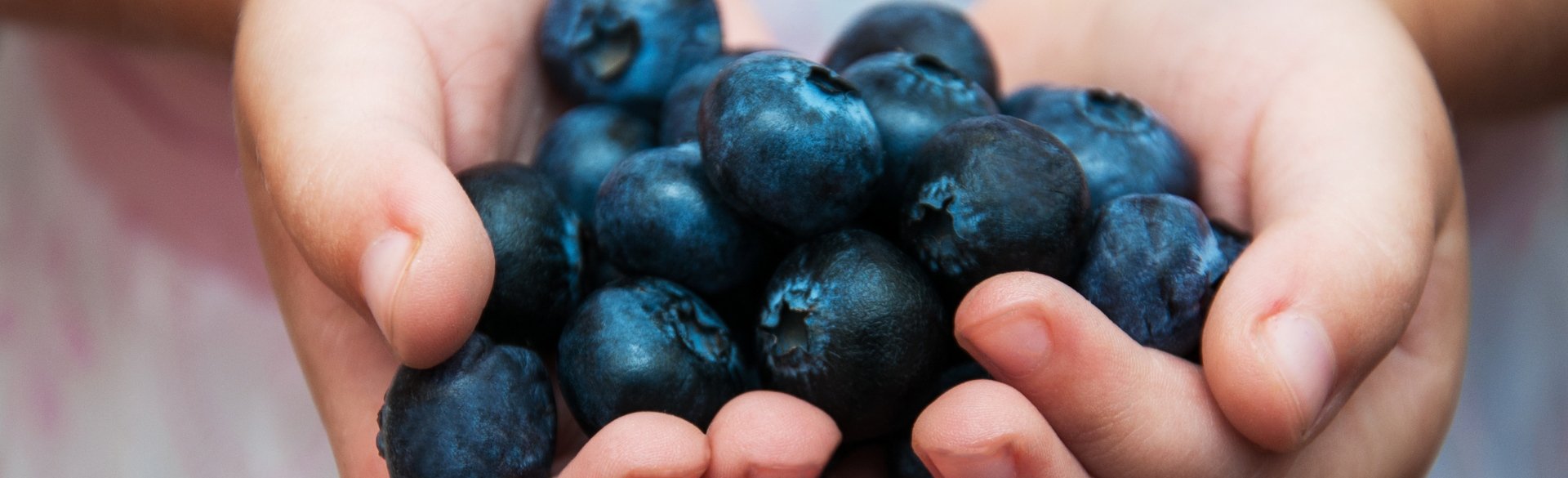 Kid holding blueberries