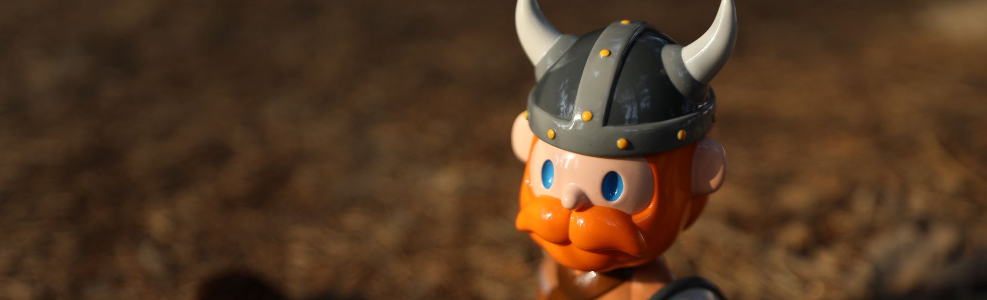 Mini viking toy