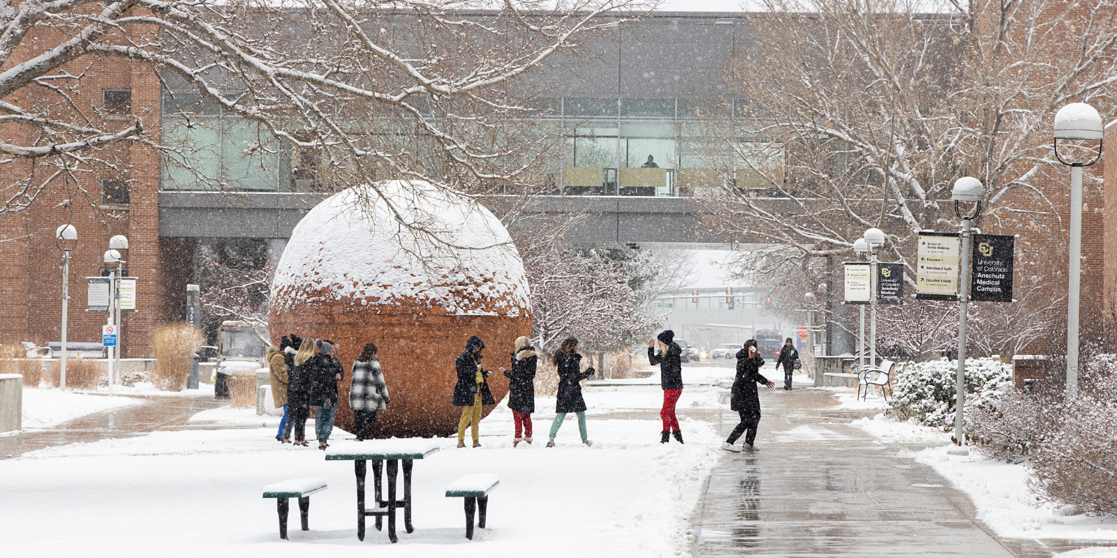 What to Expect in the Event of a Snow Closure