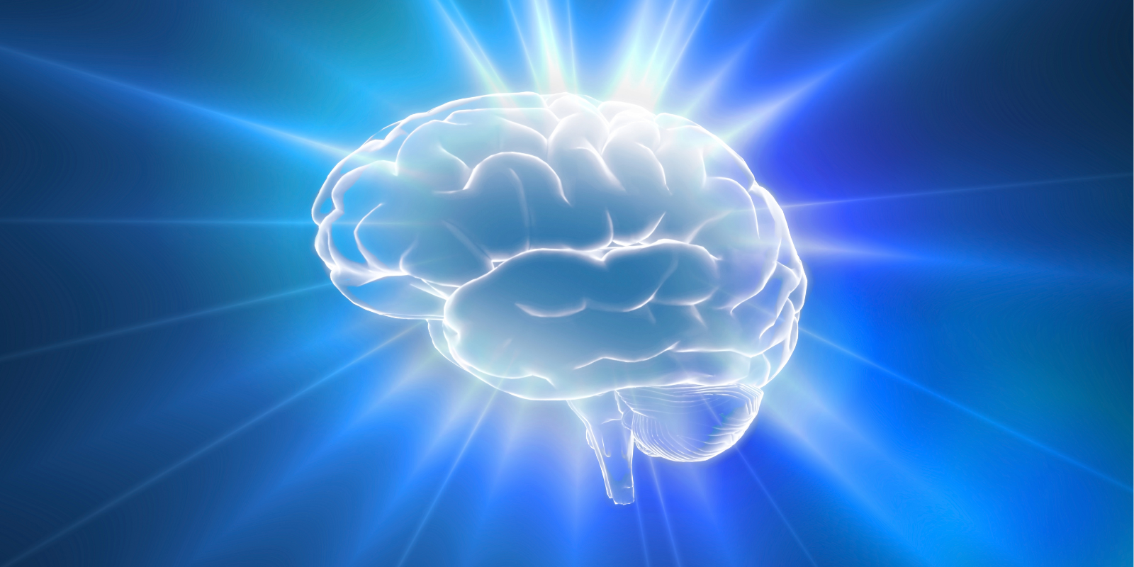 A stylized image of the human brain. 