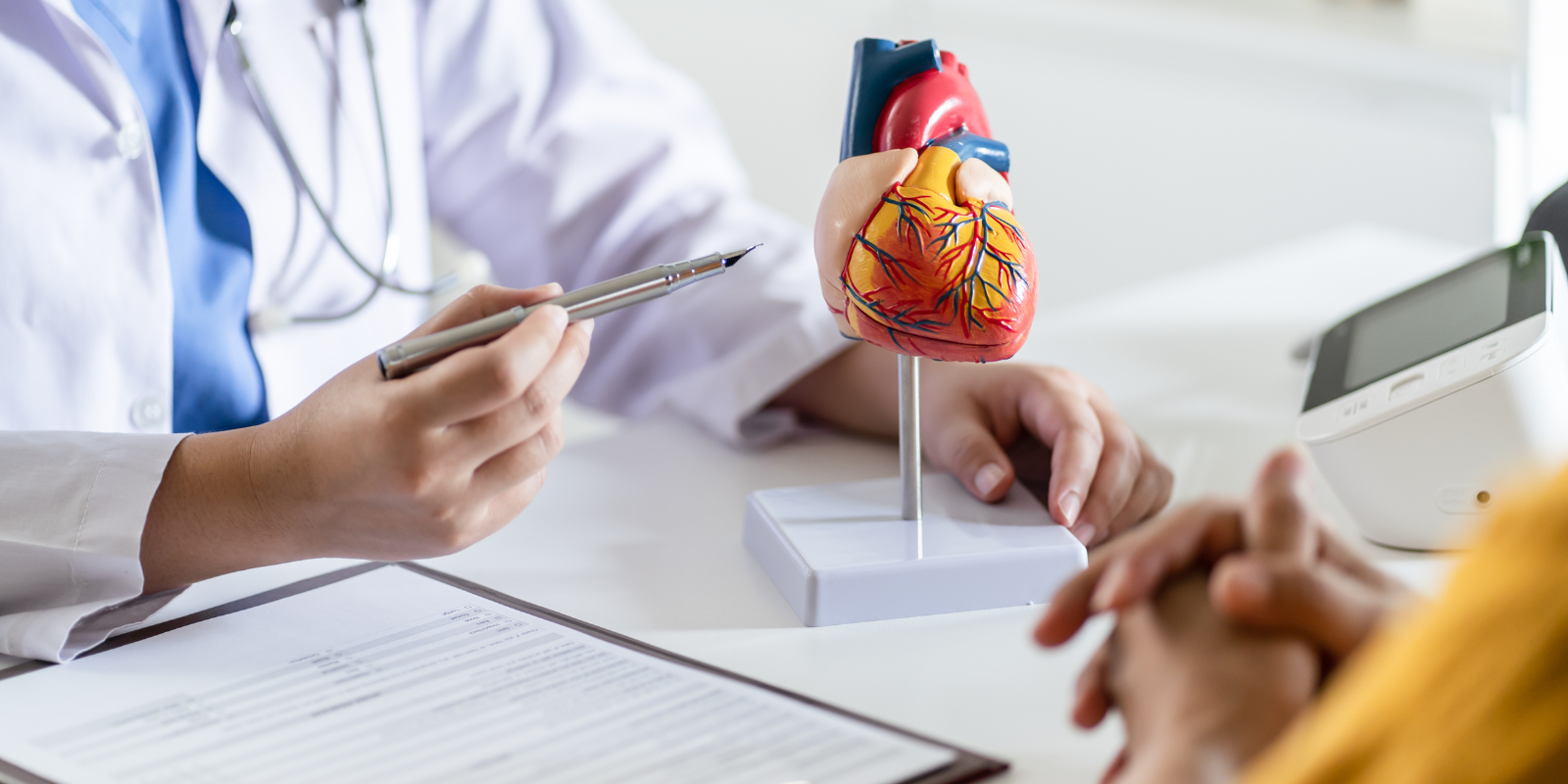 A doctor points to a model of a heart.