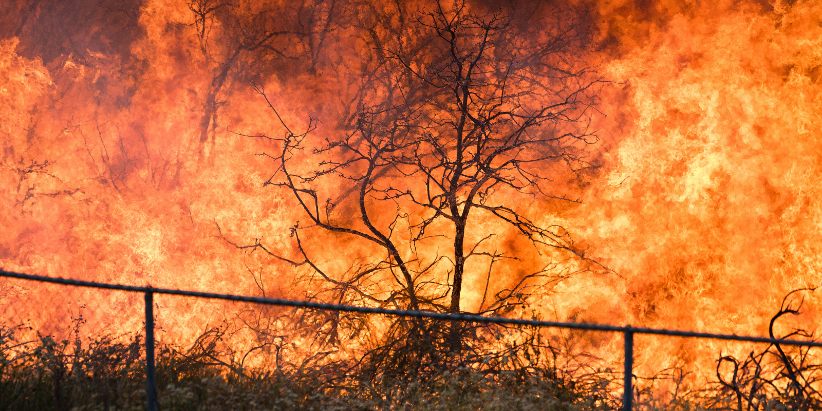 Incarcerated People are Disproportionately Impacted by Climate Change, CU Doctors Say