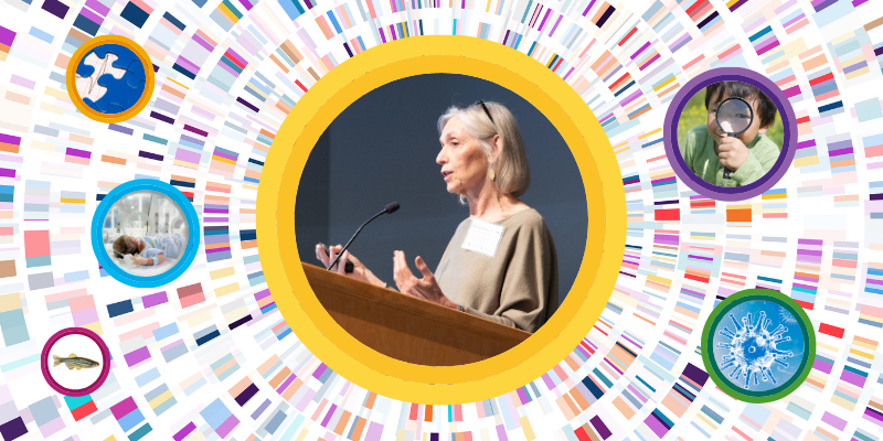 Pediatric Research Day 2025