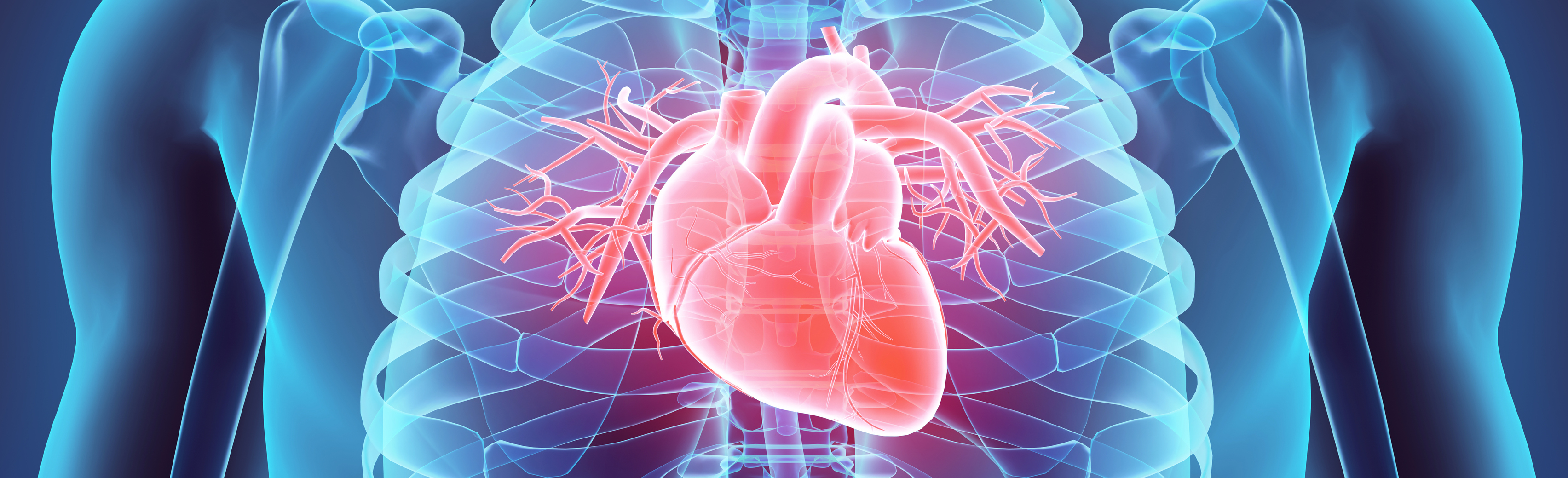 Case Study Research Emphasizes Importance of Specific Imaging in Cardiac Surgical Care | University of Colorado Department of Surgery