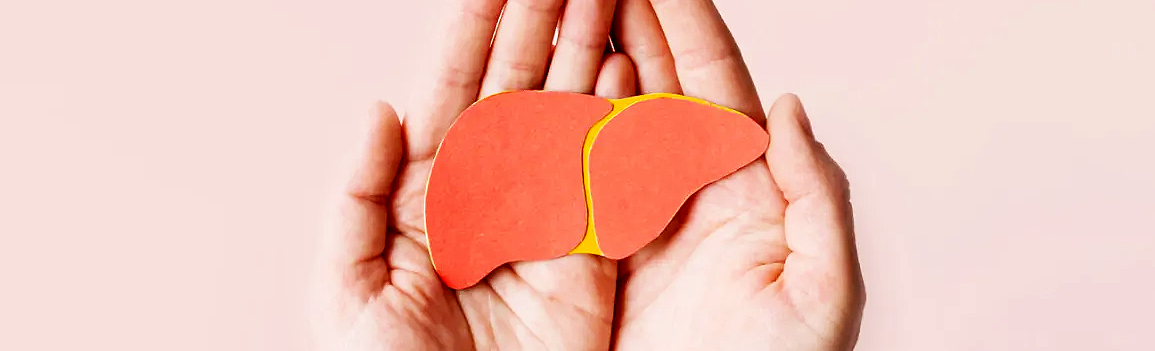 hands holding paper liver cut-out