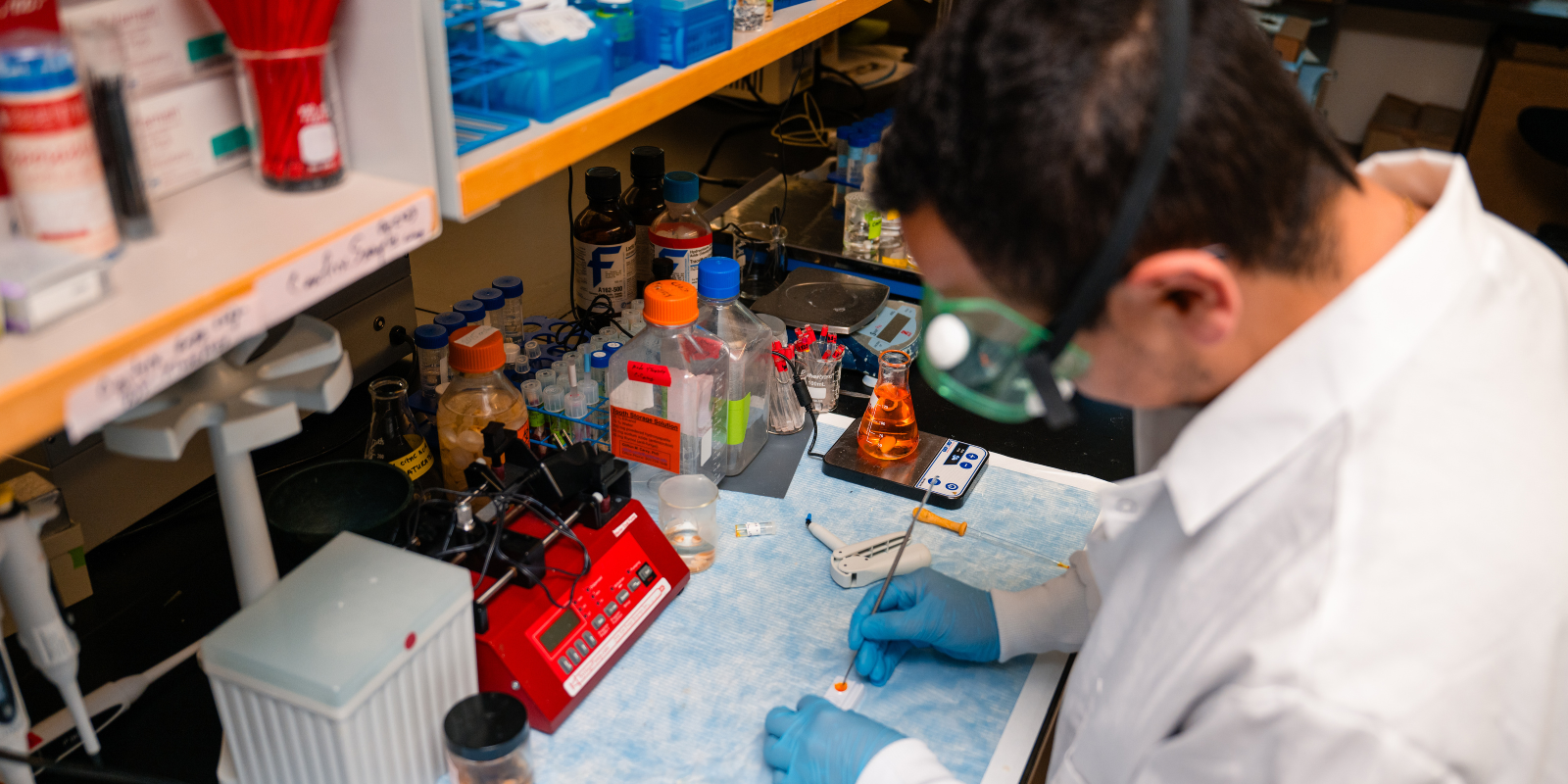 Research professional working in lab