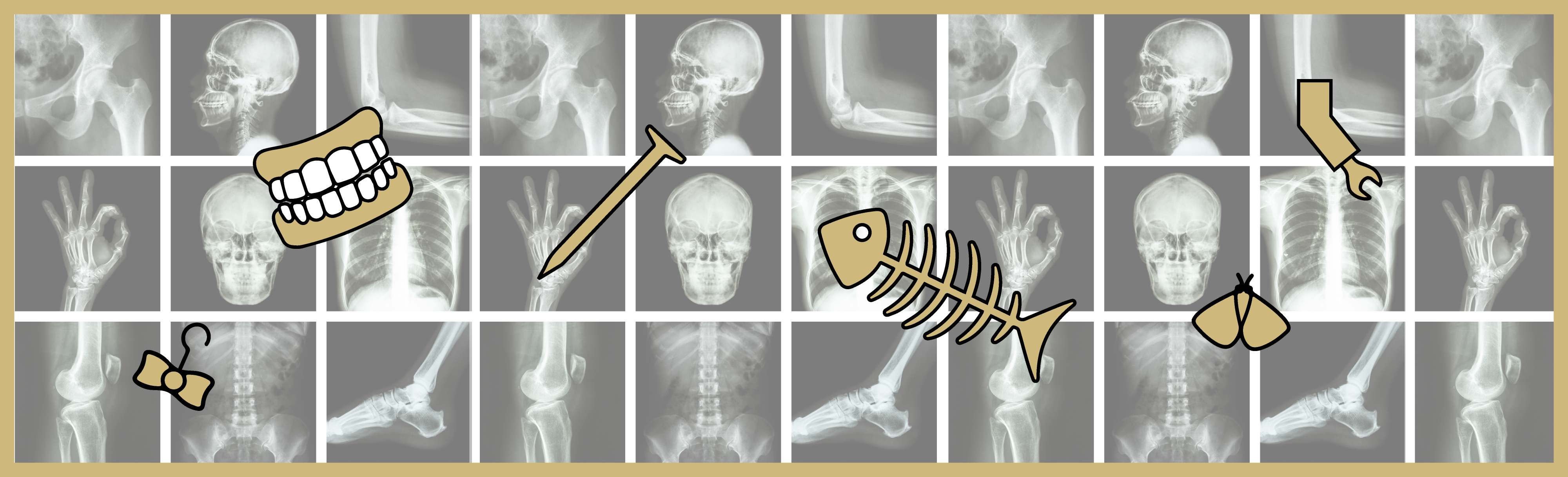 Graphic of fish, nail, bow, lego hand over X-ray background