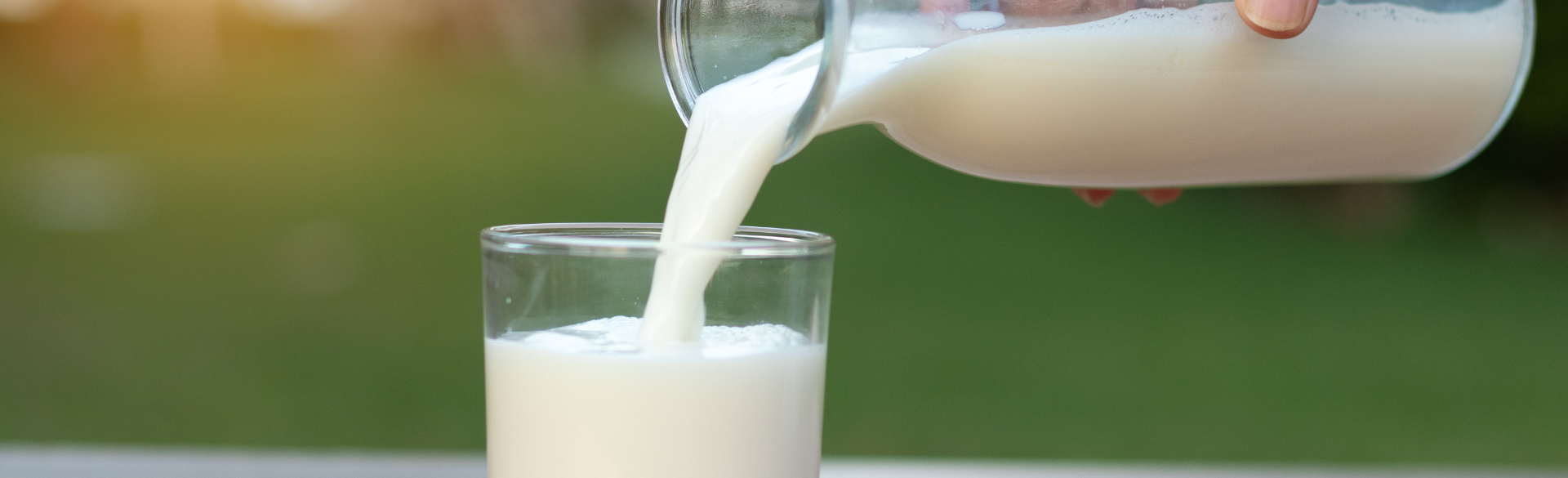 CU research shows eliminating dairy is just as effective as the standard six-food elimination diet for achieving remission in eosinophilic esophagitis.