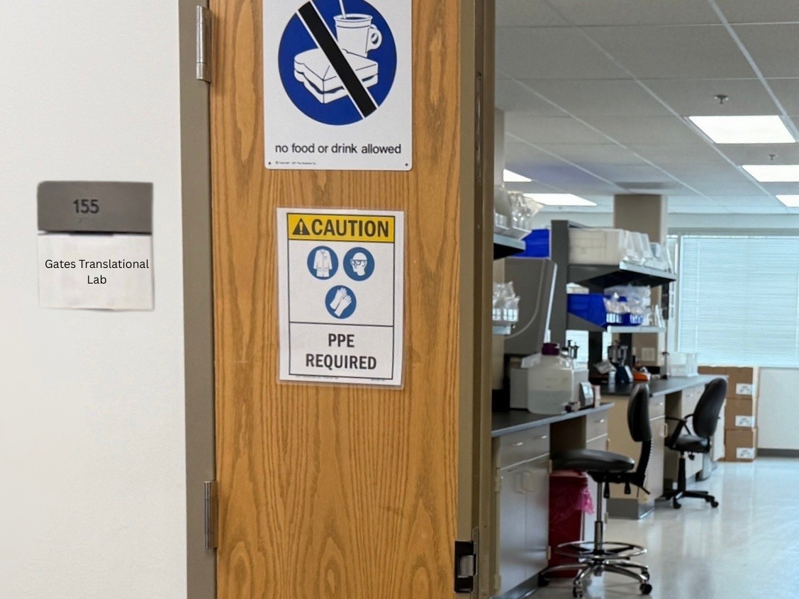 Gates Institute’s Translational Sciences Lab Receives $300,000 Grant to Improve CAR T-cell Manufacturing