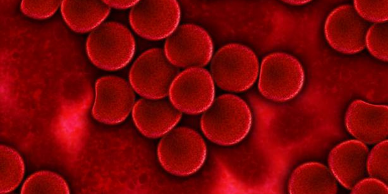 Image of red blood cells